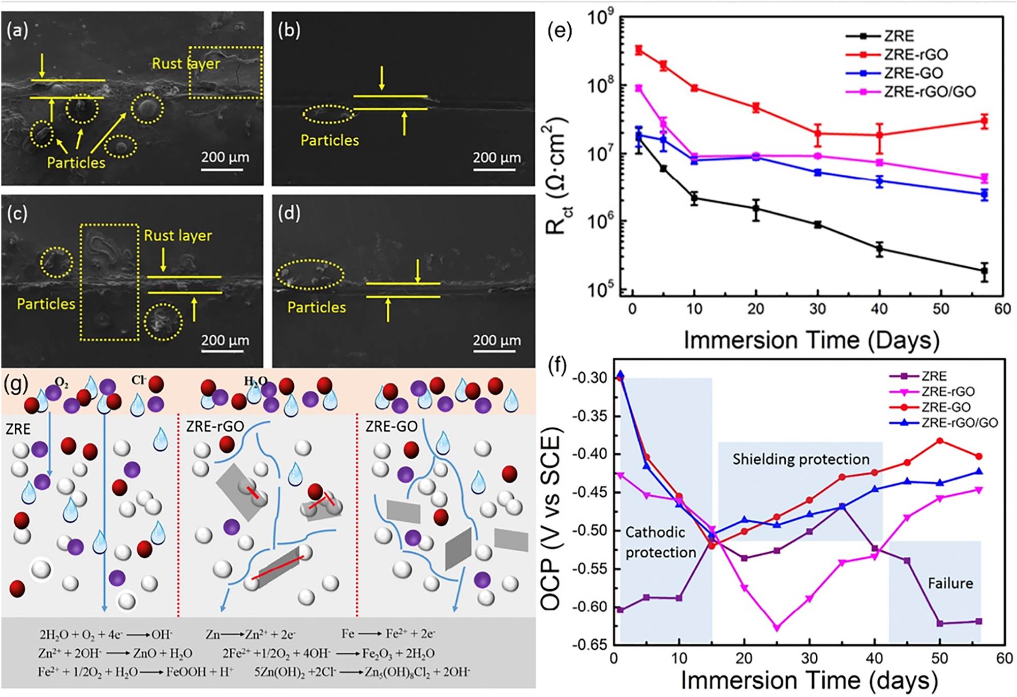 Figure 22:
SEM micrographs of (a) ZRE, (b) ZRE-rGO, (c) ZRE-GO and (d) ZRE-rGO/GO after SVET testing. (e) R
ct of prepared coatings immersed in 3.5 wt% NaCl solution. (f) Variation of OCP values for different samples at successive immersion times. (g) Illustration of the corrosion protection mechanism of the different coatings (Zhou et al. 2019). Reprinted with permission from Elsevier.