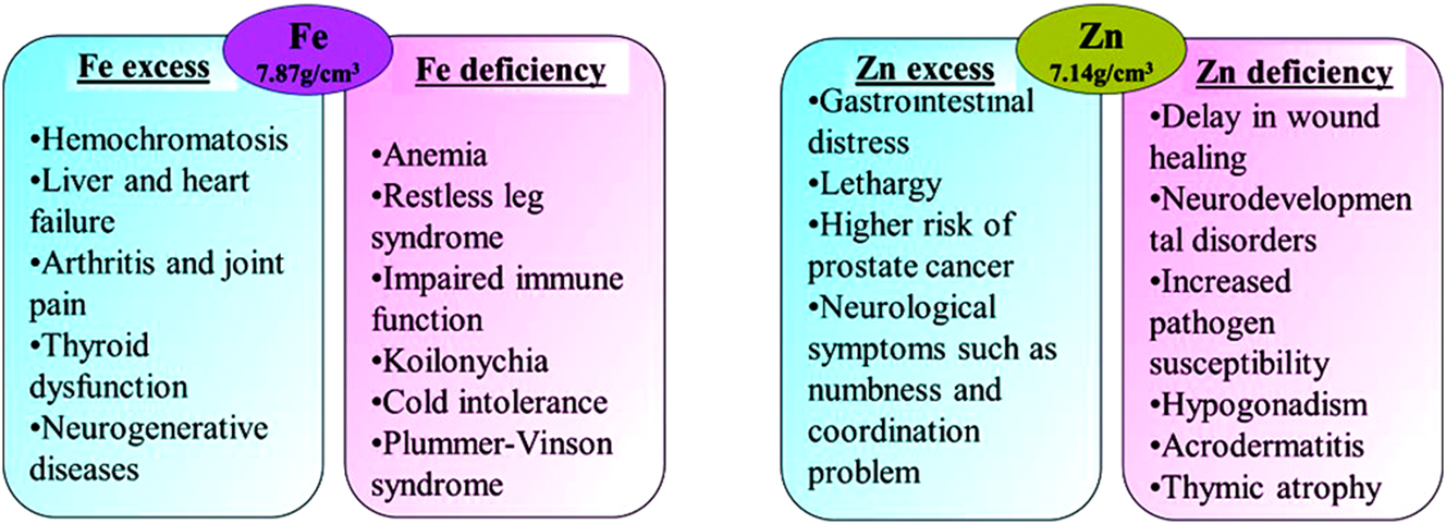Figure 1: 
Illness and symptoms associated with excess and deficiencies of Fe and Zn (Frossard et al. 2000; Levy et al. 2017; Mezzaroba et al. 2019; Plum et al. 2010; Shankar and Prasad 1998).
