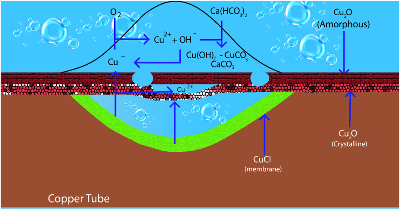 Figure 3: 
Corrosion products and reactions in type I pitting.
