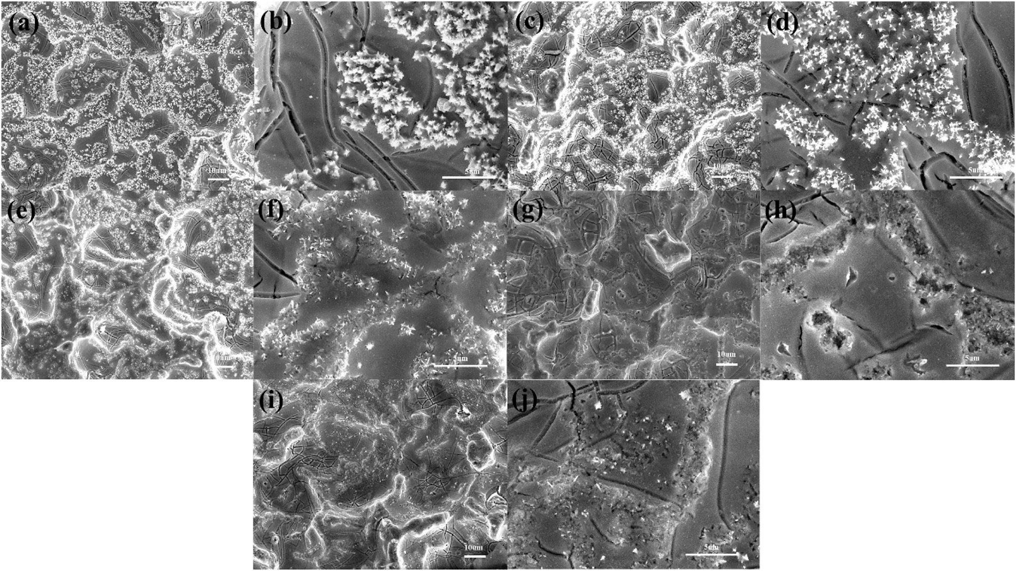 Figure 4:
Variation of the surface morphology as a function of time during the ALT: (a), (b) original; (c), (d) t = 72 h; (e), (f) t = 144 h; (g), (h) t = 216 h; (i), (j) failed anode.