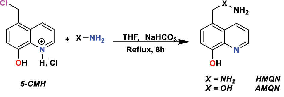 Figure 1: 
Synthases procedure of 
HMQN
 and 
AMQN
.
