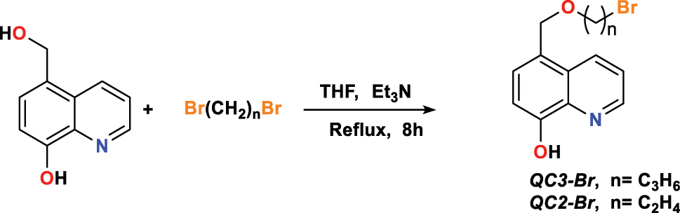 Figure 2: 
Compounds’ synthetic path: 
QC3-Br
 and 
QC2-Br
.
