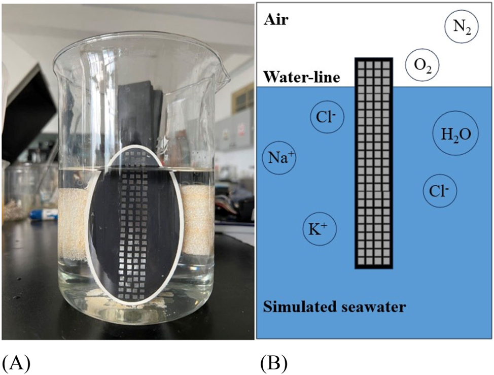 Figure 1: 
Surface morphology and schematic diagram of WBE in corrosion system. (A) Surface morphology and (B) schematic diagram.
