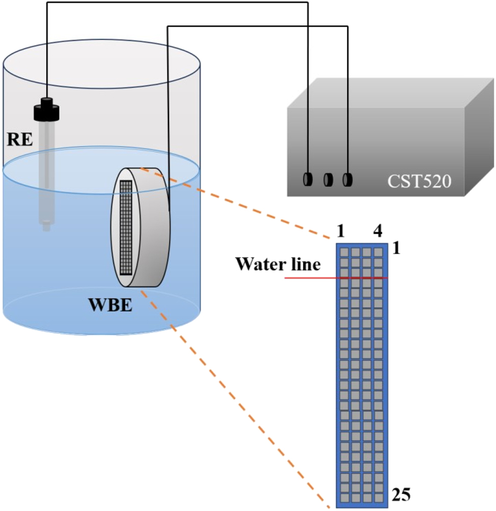 Figure 2: 
Schematic diagram of experimental apparatus (RE was SCE).
