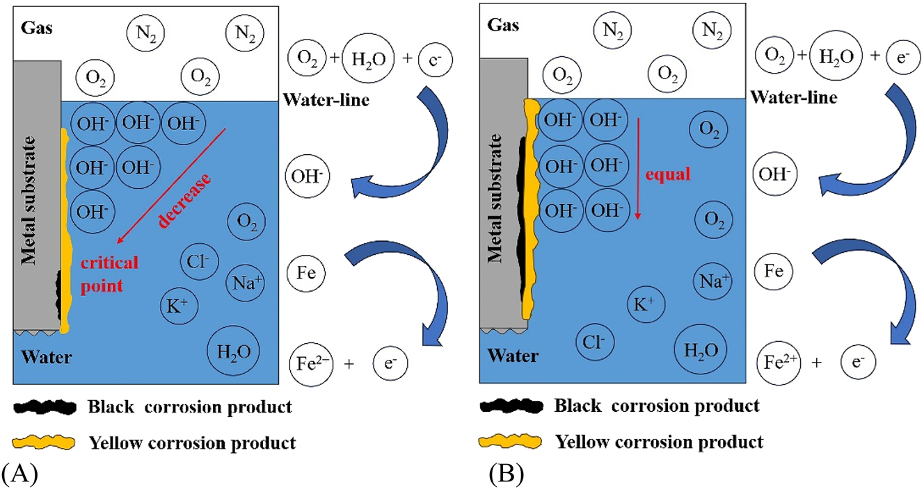 Figure 6: 
Schematic diagram of pH distribution on WBE surface under (A) static and (B) dynamic condition.
