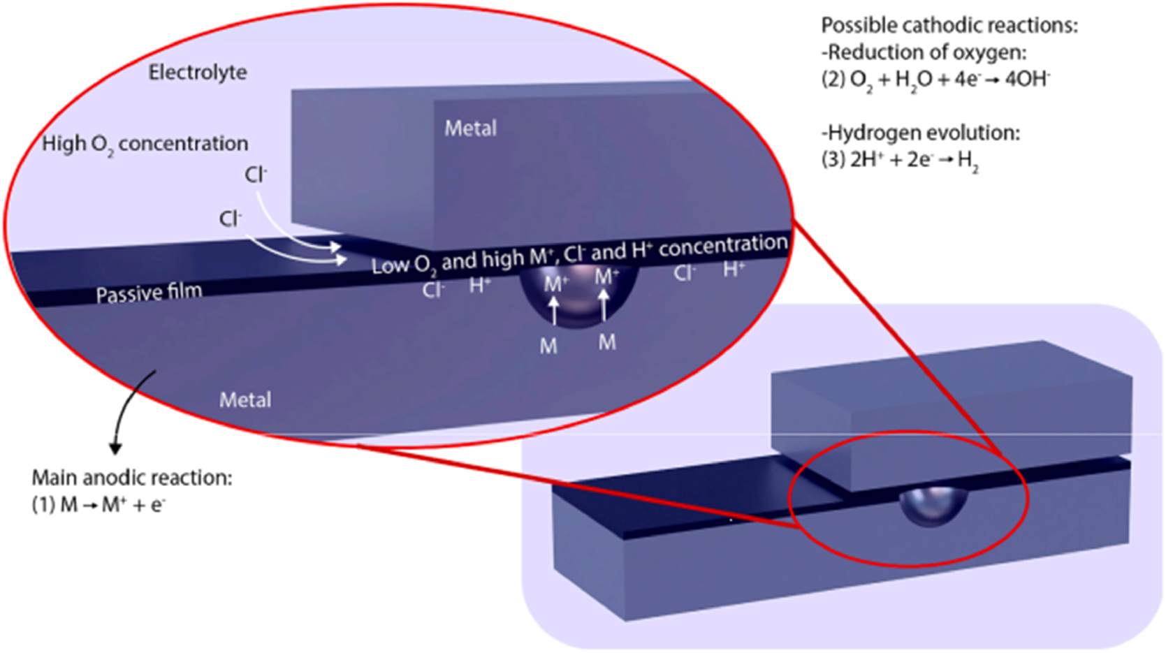 Figure 4: 
Crevice corrosion illustration and main electrochemical reactions (Costa et al. 2023); reproduced with permission from Elsevier.

