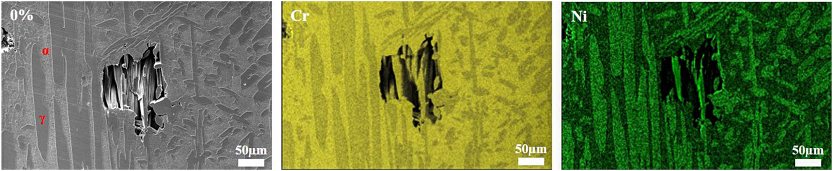 Figure 2: 
The EDS surface scan image of undeformed S32304 duplex stainless steel after immersion in a simulated industrial environment solution for 24 h.
