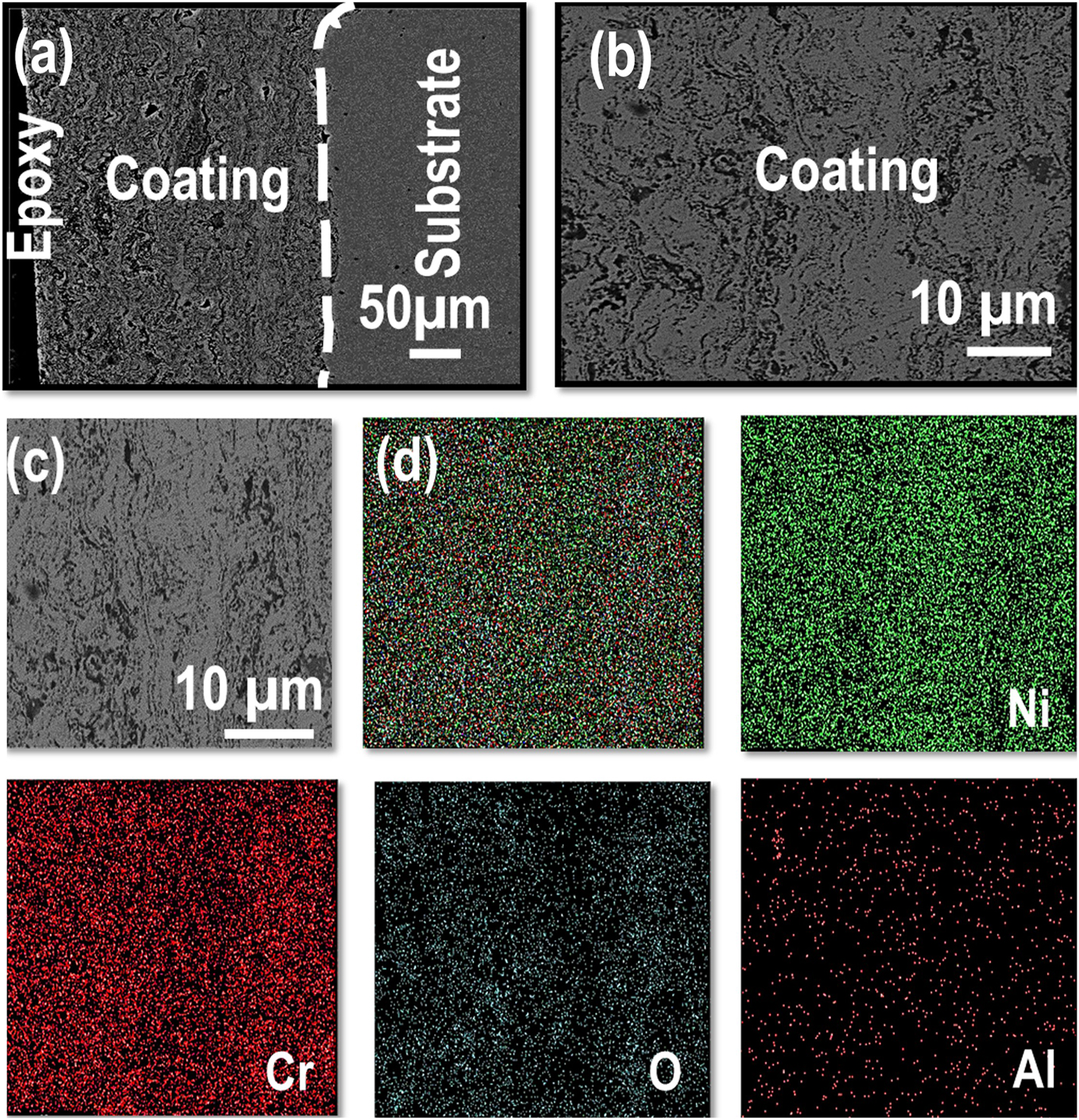 Figure 6:
Microstructure analysis of MWP coating; (a, c) cross-section, (b) surface morphology, and (d) EDS elemental mapping corresponding to (c).