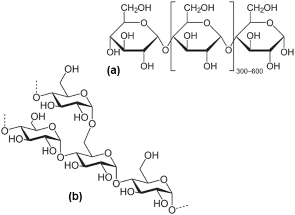 Figure 4: 
Chemical structure of starch molecule: (a) amylose, (b) amylopectin (Umoren and Eduok 2016, reproduced with permission from Elsevier).
