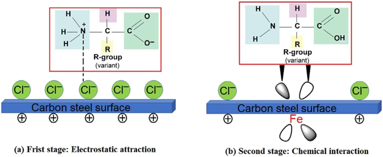 Figure 5: 
Schematic mechanism for (a) physical adsorption and (b) chemical adsorption of RSWP on the carbon steel in 1 M HCl (Farag et al. 2018).
