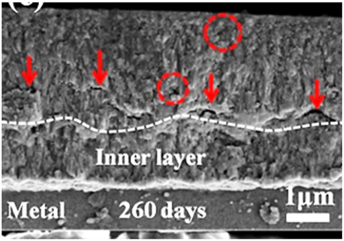 Figure 5: 
Fracture surface morphologies of the oxide films formed on Zr–Mo alloys exposed to simulated PWR primary water environment for 260 days, adapted from (Shi et al. 2020).
