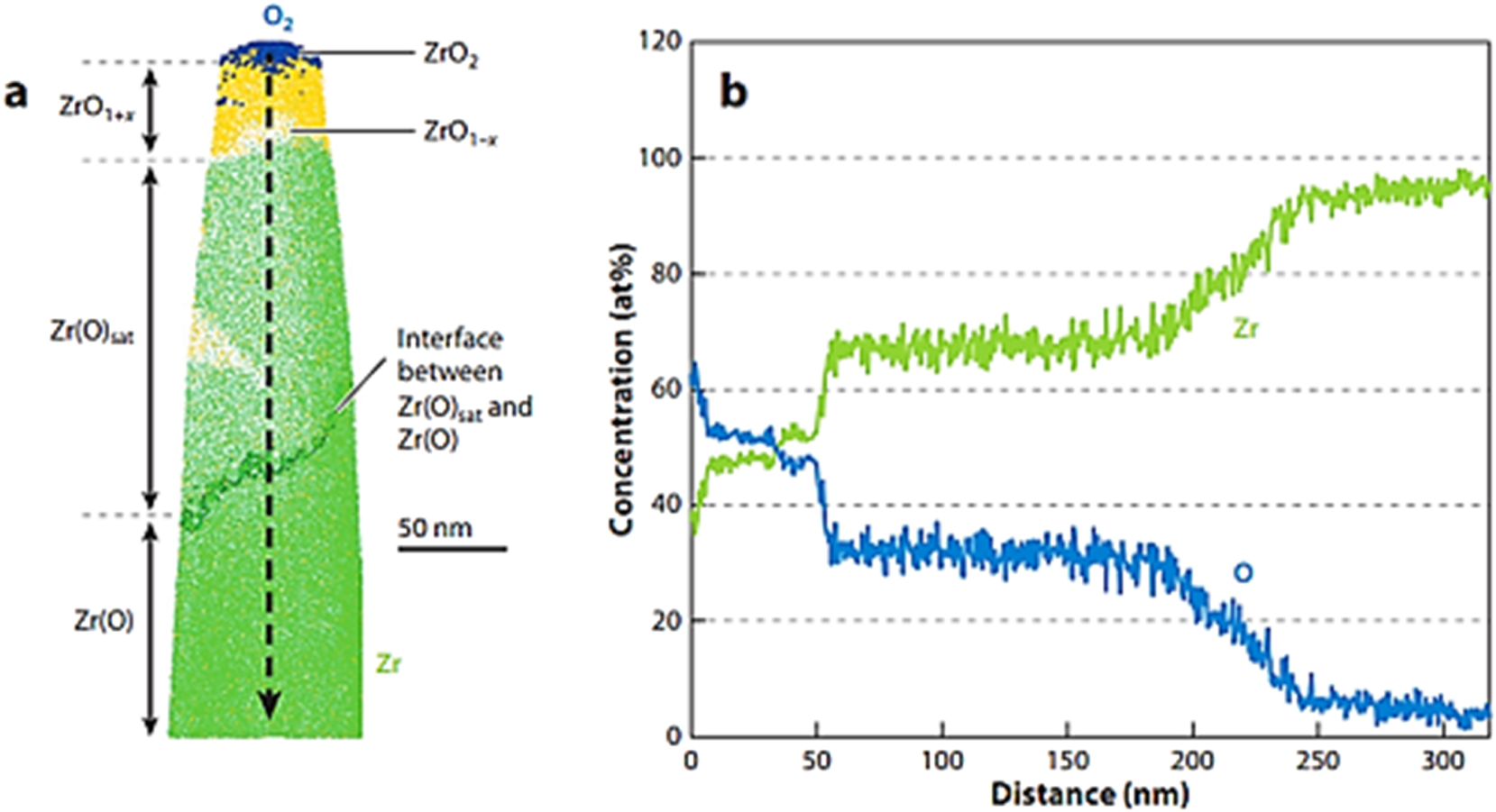 Figure 7: 
Zircaloy-4 oxide region: (a) 10 nm slice from an APT reconstruction showing the presence of different oxide phases; (b) concentration profile taken along the arrow indicated in (a). Adapted from (Dong et al. 2013).
