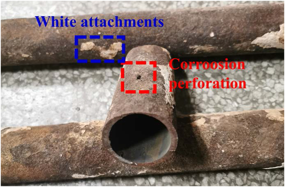 Figure 1:
High-temperature superheater outlet serpentine tube for sample preparation.