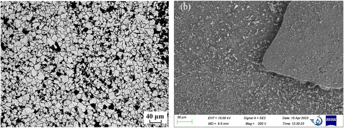 Figure 4:
Microstructure of 12Cr1MoVG sample before and after corrosion test: (a) metallographic before corrosion and (b) morphology after corrosion.