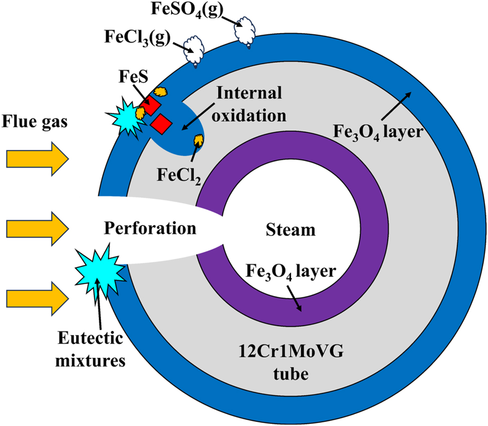 Figure 15:
Corrosion failure mechanism of 12Cr1MoVG tube.