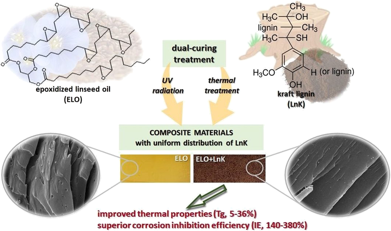 Figure 2:
Schematic of curing treatment of ELO-LnK coating. From Ref. (Komartin et al. 2021), used under Creative Commons CC BY license.