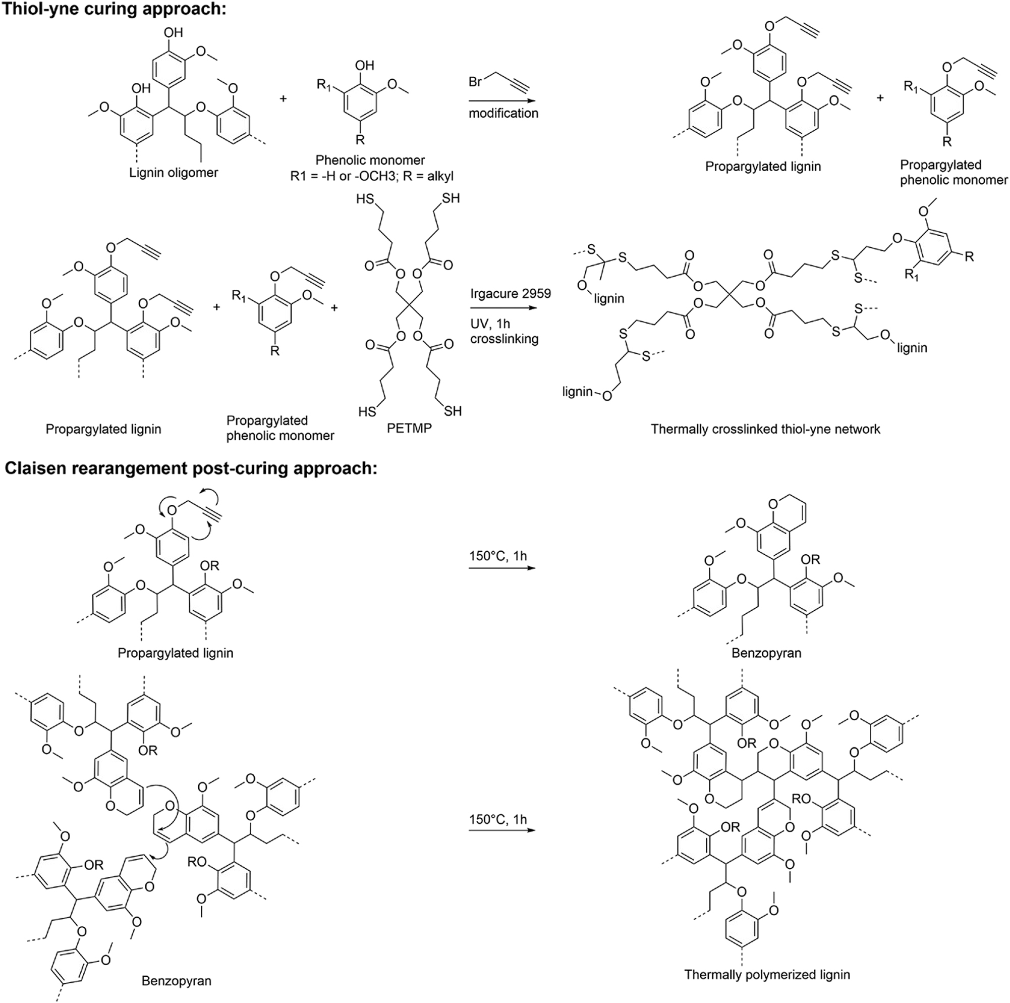 Figure 4:
Synthetic approach for lignin-based protective films via tandem UV-initiated thiol-yne chemistry and Claisen rearrangement. From Ref. (Jedrzejczyk et al. 2022), used under Creative Commons CC BY-NC-ND license.