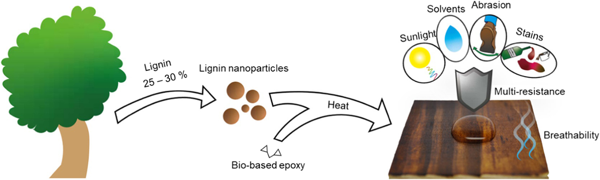Figure 5:
The concept schematic of CLP–GDE films for multi-resistance. From Ref. (Henn et al. 2021), used under Creative Commons CC BY license.