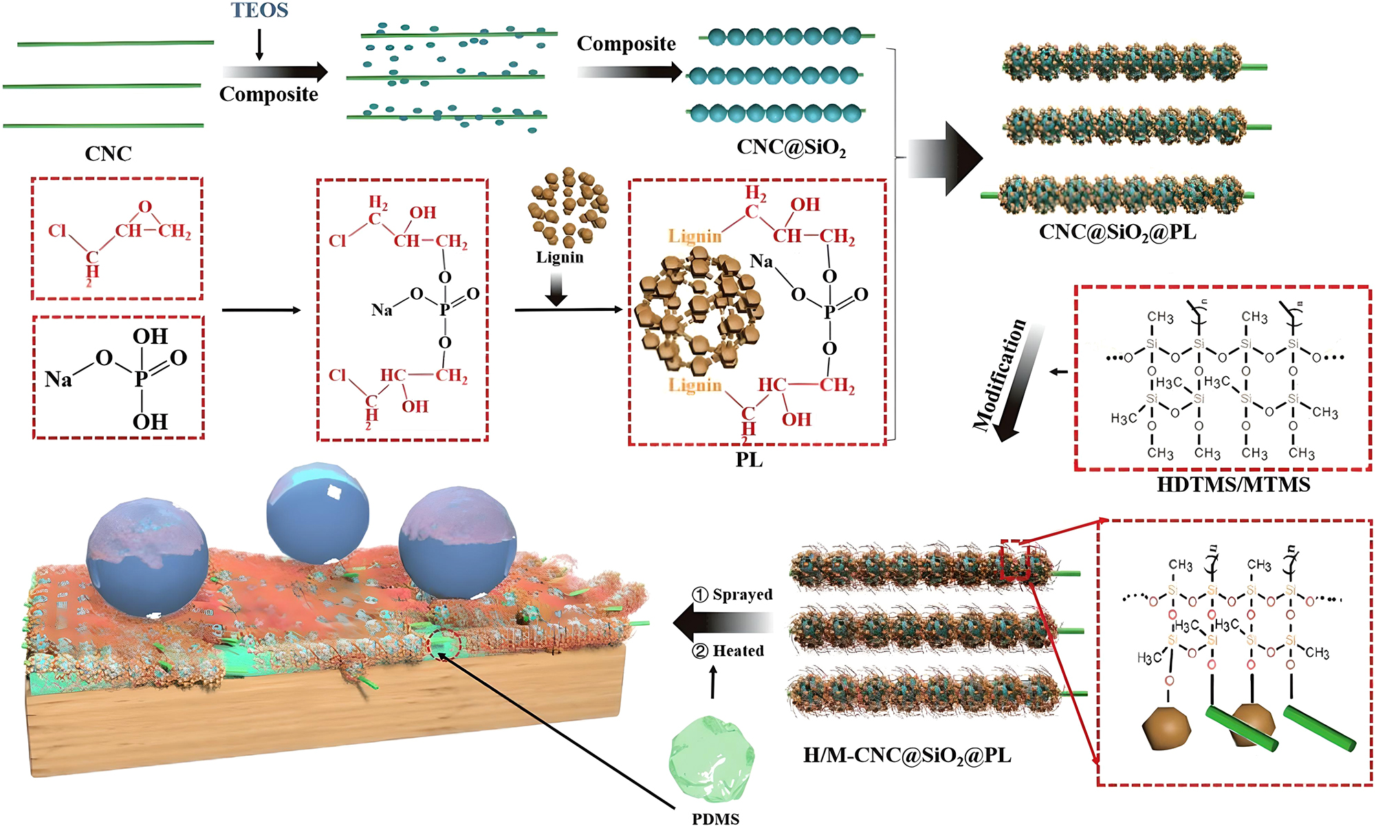 Figure 6:
Preparation process demonstration of CNC@SiO2@PL-based superhydrophobic wood. From Ref. (Zhang et al. 2023b), used under Creative Commons CC BY license.