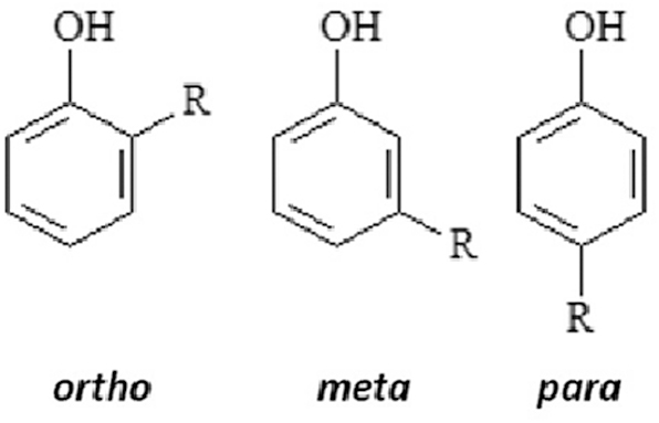Figure 12:
Phenolic acid structure. Originally published in (Mu’azu et al. 2017) under the terms CC BY 4.0 license. Available from: doi.org/10.3390/ijerph14101094.