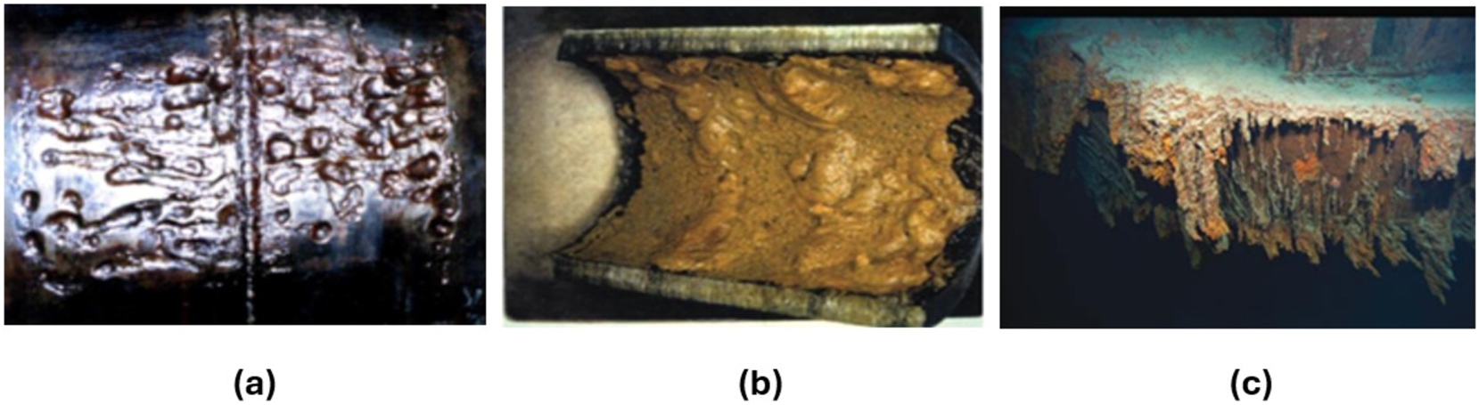 Figure 1: 
Examples of MIC consequences: (a) corrosion pits, (b) formation of tubercles and (c) rusticles. (a) Microbiologically influenced corrosion of underground pipelines under the disbonded coatings, Li et al., Metals and Materials International, 6, Springer Nature, 2000, reproduced with permission from Springer Nature Costumer Service Center (SNCSC); (b) and (c) Reprinted from Little and Lee (2009), with permission from John Wiley & Sons. Kirk-Othmer Encyclopedia of Chemical Technology. Copyright John Wiley & Sons, Inc. All rights reserved.
