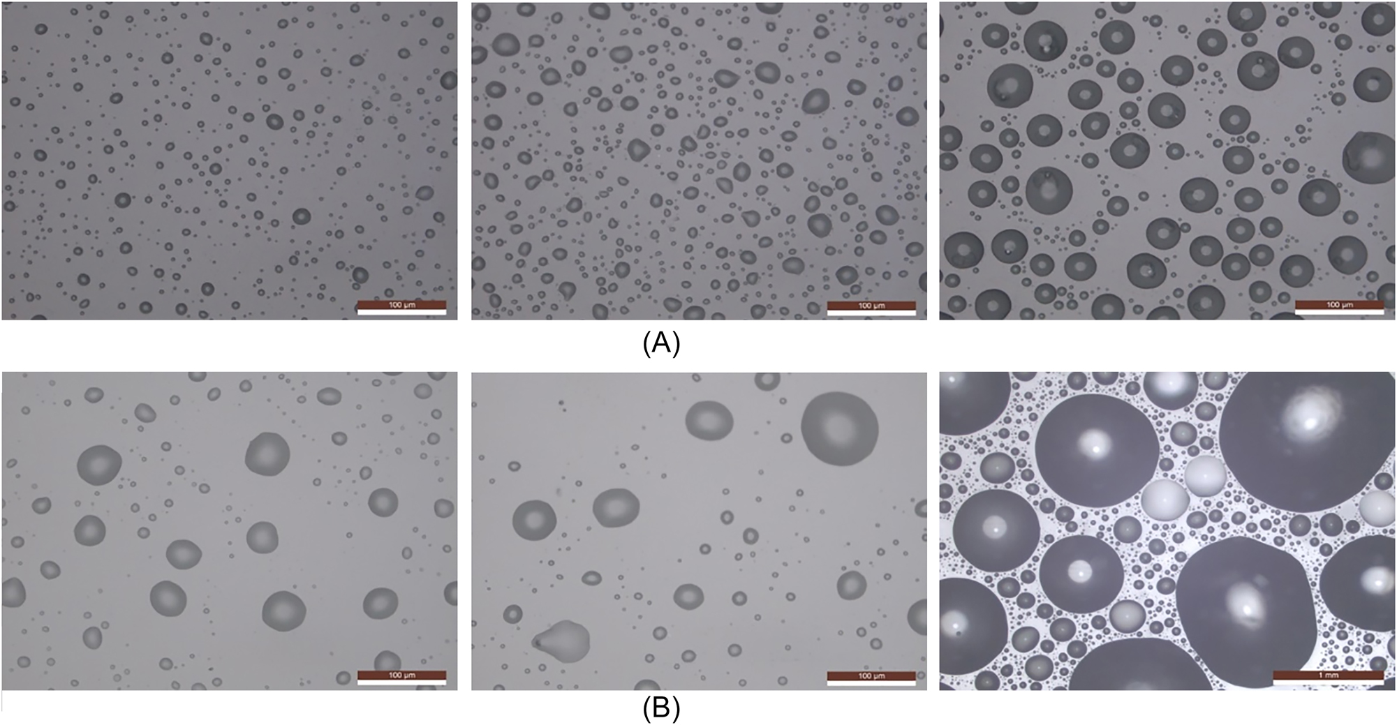 Figure 11:
Surface morphology following 5, 10, and 60 min of salt mist droplet deposition in humidity-controlled and neutral salt spray chambers. (A) Humidity-controlled salt spray (left: 5 min; centre: 10 min; right: 60 min); (B) neutral salt spray (left: 5 min; centre: 10 min; right: 60 min).
