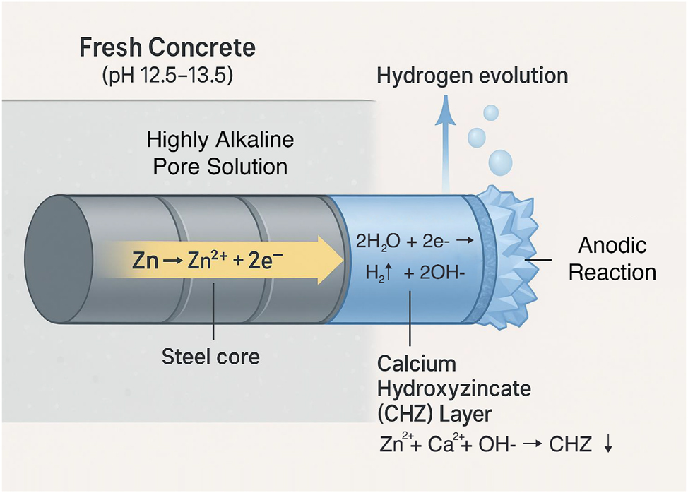 Figure 1:
Schematic diagram of initial passivation of hot-dip galvanized rebar in fresh concrete (author-created).