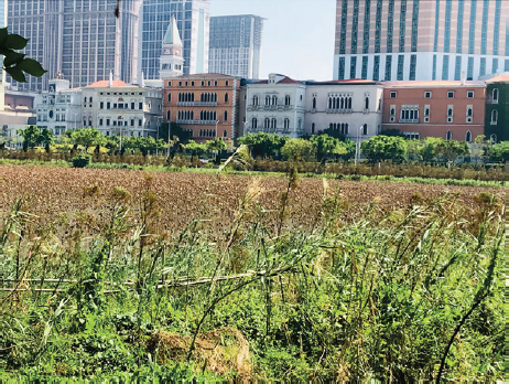 Figure 13 
					The Venetian Macao; photograph by the author (2018)
				