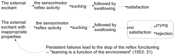 Figure 5 
					The sucking reflex schema updated
				
