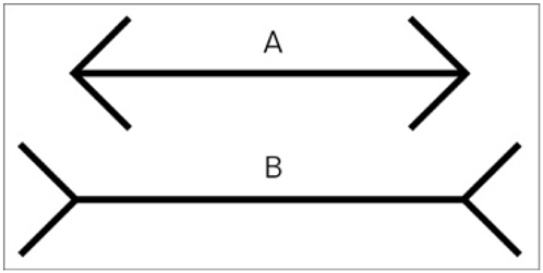 Figure 2: 
Müller–Lyer’s optical illusion.

