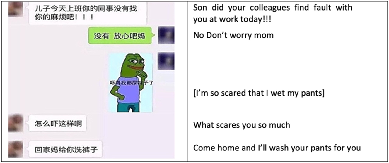Figure 2: 
Misunderstanding caused by Biaoqing between mother and son (retrieved from https://www.douban.com/note/599431525/, 13 November 2018).
