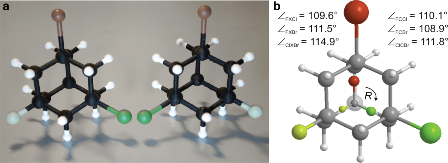 Figure 6: (a) 3D-printed scale structure of both enantiomers of 1-bromo-3-chloro-5-fluoroadamantane and (b) overlaid structures of (R)-bromochlorofluoromethane (center) and the corresponding isomer of 1-bromo-3-chloro-5-fluoroadamantane. Bond angles of the adamantane structure refer to the center of chirality (X).