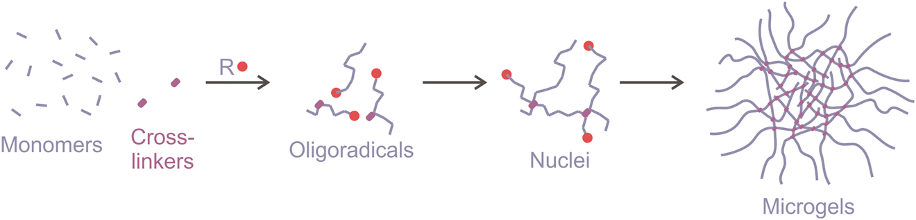 Figure 13: Microgel synthesis by precipitation polymerization.