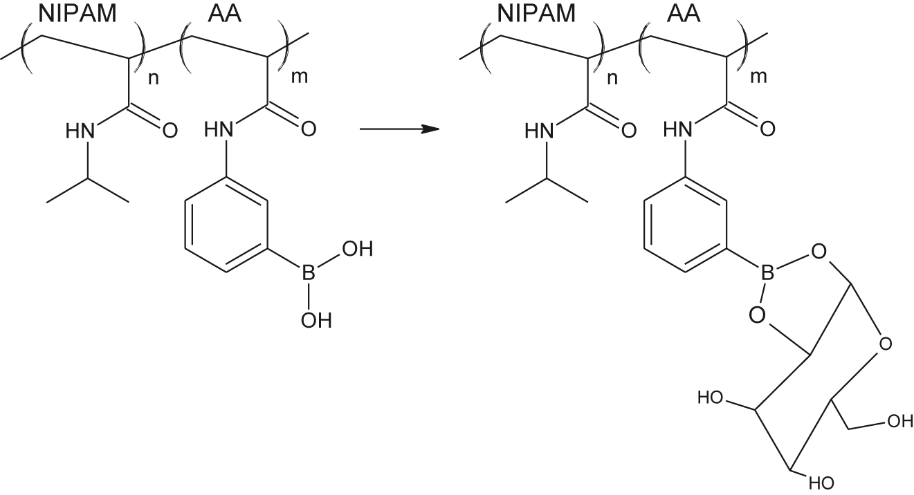 Figure 17: Gluccose-sensitive microgel.