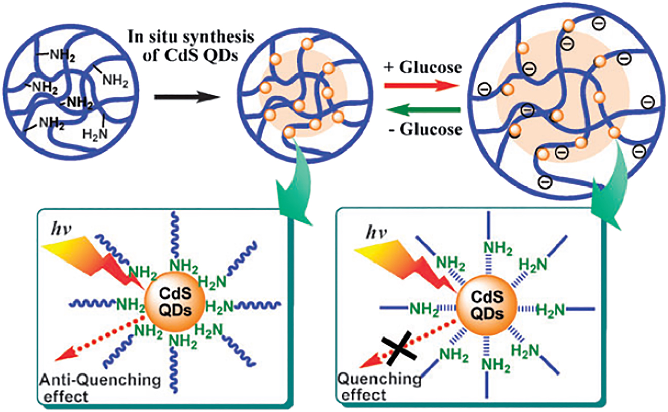 Figure 18: Reversible fluorescence quenching and antiquenching of CdS QDs embedded in the interior of p(NIPAM-AAm-PBA) microgels in response to the change in glucose concentration.Reproduced from Wu et al., 2009. with permission from the Royal Society of Chemistry.