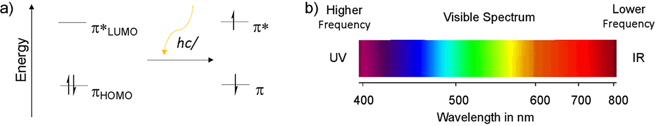 Figure 6: (a) Molecular orbital energy level diagrams showing photoexcitation from the HOMO to the LUMO upon light absorption; (b) Wavelength of light that corresponds to the visible spectrum.