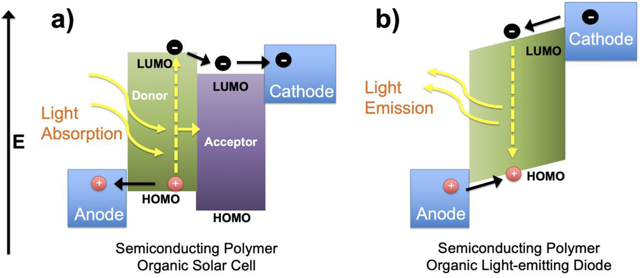 Figure 11: Energy level diagrams of semiconducting polymer with the movement of electrons (−) and holes (+) in an (a) organic solar cell and (b) organic light-emitting diode.