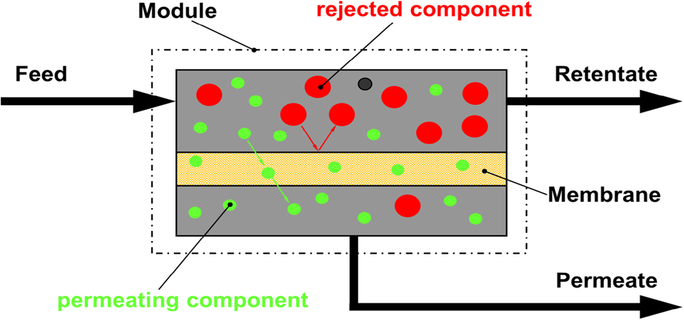 Figure 1: A mixed feed (gas or liquid) enters a module which houses the membrane. The feed moves along the membrane layer and components, which can pass through the membrane, will permeate through the membrane to the permeate side. The permeate is thus separated from the feed. The feed loses permeating components and changes its composition. It leaves as a retentate from the module. This is the typical way for a continuous process, in contrast to a discontinuous, so-called dead-end filtration, where a feed is pressed through a pressure vessel equipped with a membrane filter at its outlet and the matter not passing the membrane accumulating on the membrane surface. Not shown are additional features in a membrane based separation process, such as pumps, heat exchangers, condensers, etc., which are required depending on the components to be separated and the level of purification.