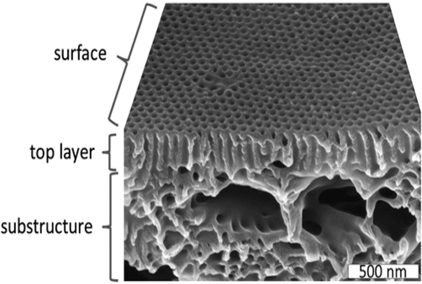 Figure 5: Scanning electron micrograph of a so-called isoporous integral asymmetric membrane formed by a polystyrene-block-poly(2-vinylpyridine) diblock copolymer from the non-solvent induced phase separation. Reproduced with permission (Abetz, 2015) Copyright 2015, Wiley‐VCH GmbH.