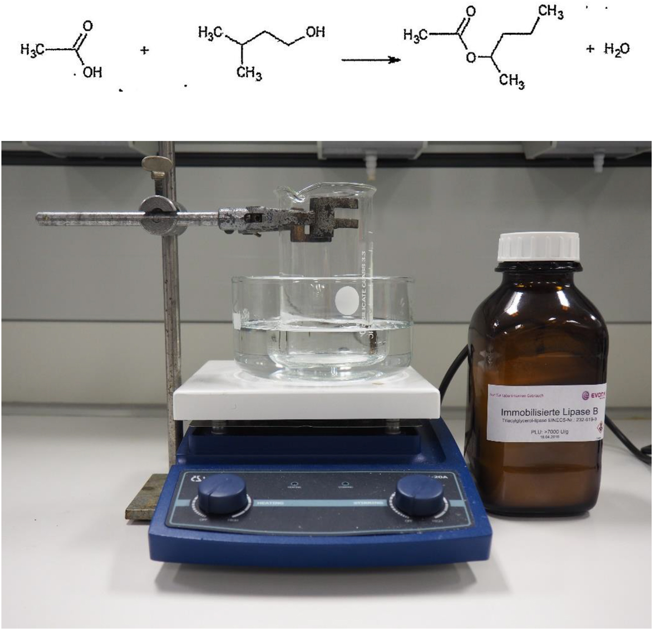 Figure 1: 
Basic set-up for the synthesis of a fruit ester with lipase.

