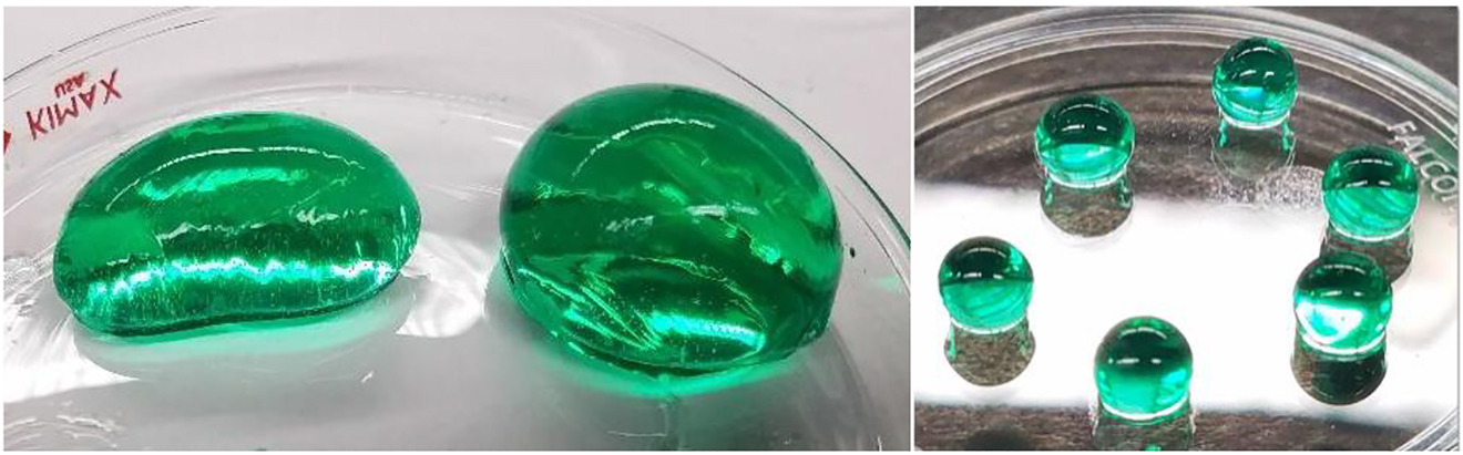 Figure 3: 
Left image: beads formed with spoon. Right image: beads formed with pipette.