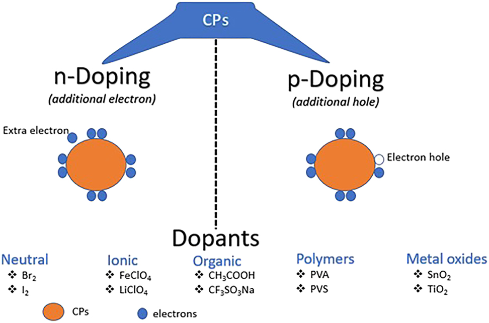 Figure 4: 
Types of dopants used in n-doping and p-doping of CP materials (Shahabuddin et al., 2021).
