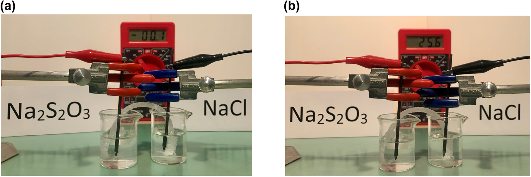 Figure 1: 
Electrolysis set up.
(a) Before connecting the power source. (b) After connecting the power source. (Note some hydrogen bubbling in the cathodic side).
