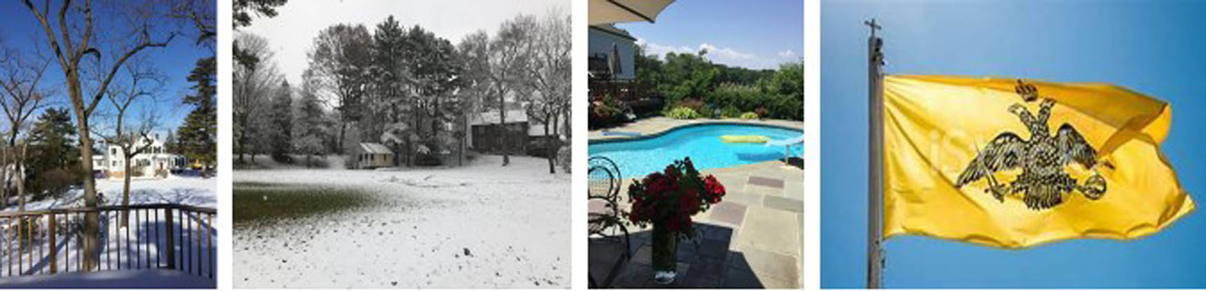 Figure 1 
               Besides the main mansion, Andrei’s estate includes a guest house and a doll house surrounded by the magnificent trees of the park. The Flag of Byzantine is fluttering over the Estate.