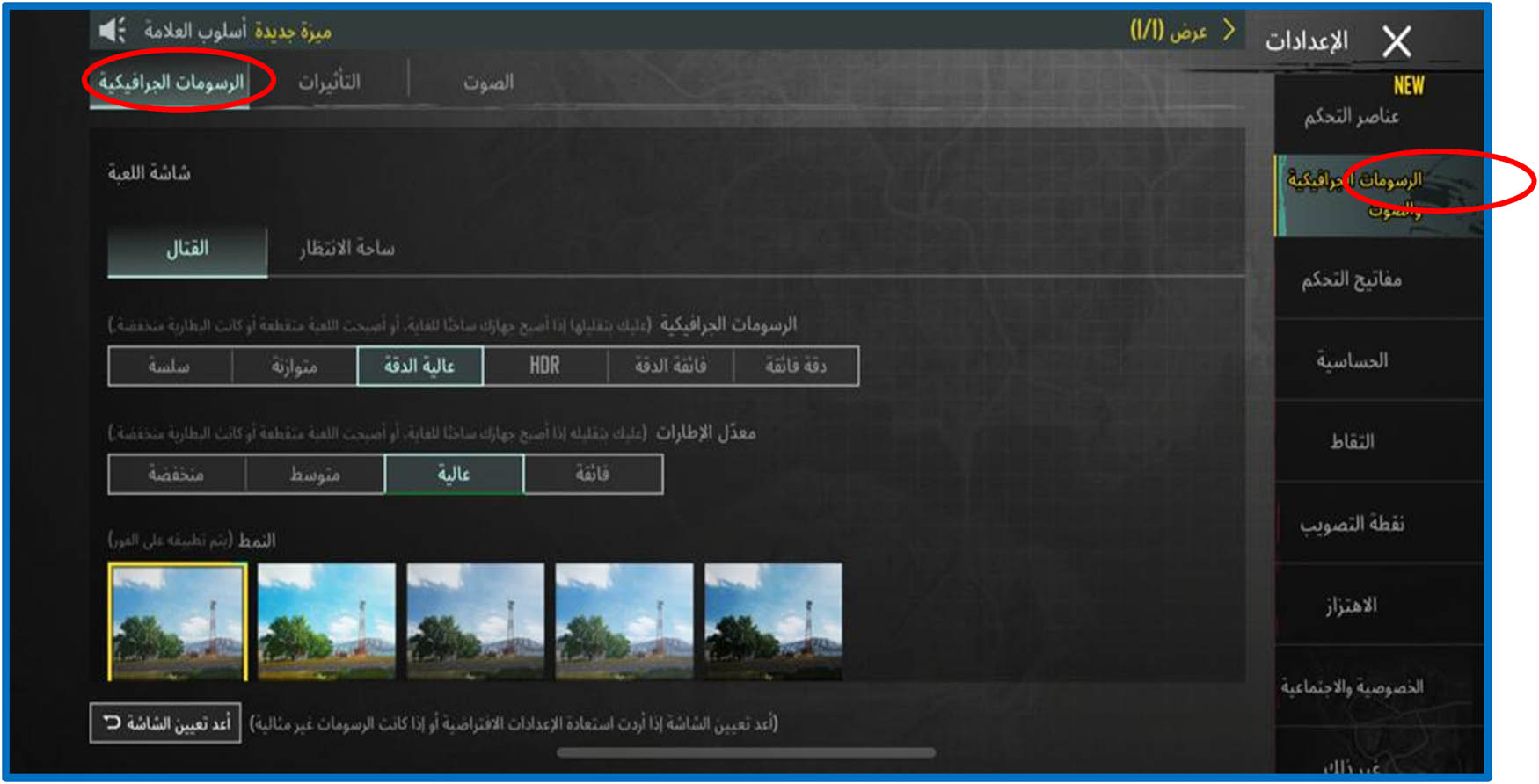 Figure 1
A screenshot from PUBG settings section.