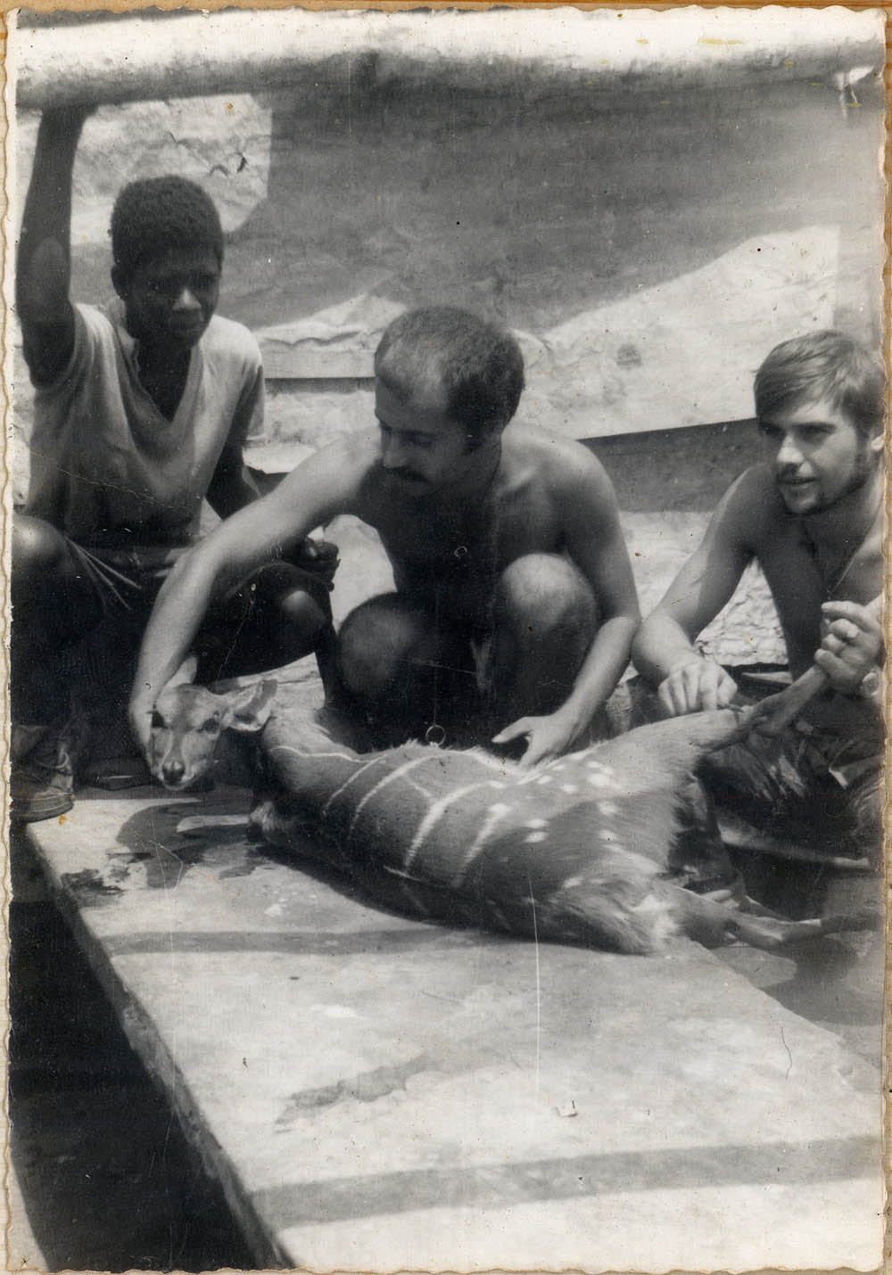 Figure 4
Two men from the Portuguese army and a presumably local young man slaughtering a gazelle. Private collection of Joaquim Barroca.