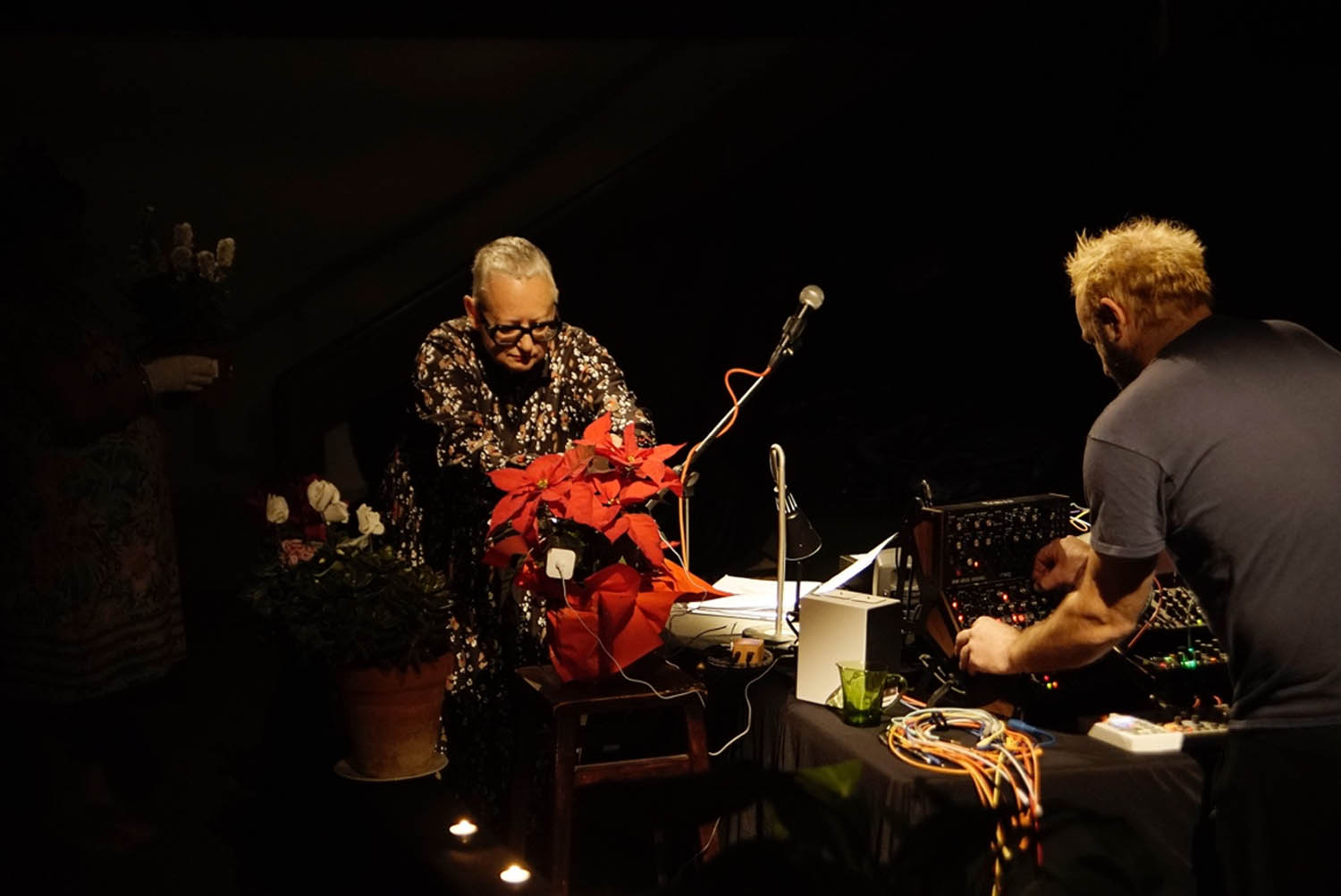 Figure 1 
                  Rota Festival, Centro Negra AADK, Blanca, Murcia. Note: Cereus in-concert capturing live plants in performance with us. Teatro Victoria, Blanca, Murcia, Spain. © Ana Carucci (2023).
               