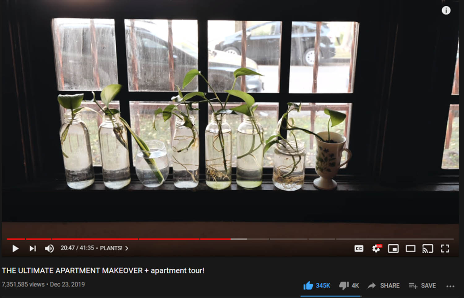 Figure 3
Eight propagations in glass jars on bestdressed’s windowsill.