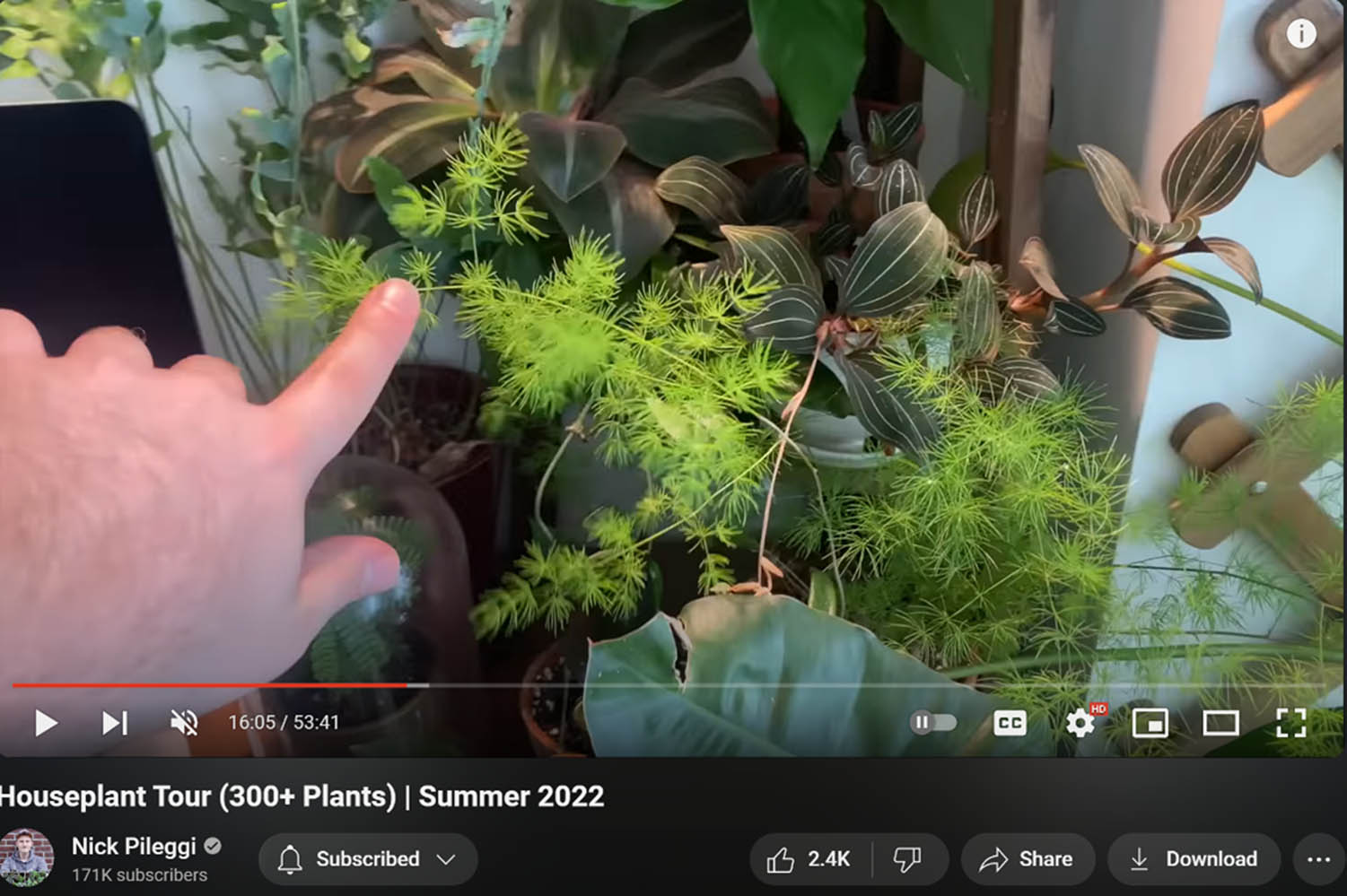 Figure 4
Nick Pileggi’s “Houseplant Tour (300+ Plants) | Summer 2022,” featuring his finger pointing to a plant-filled corner of his living room.