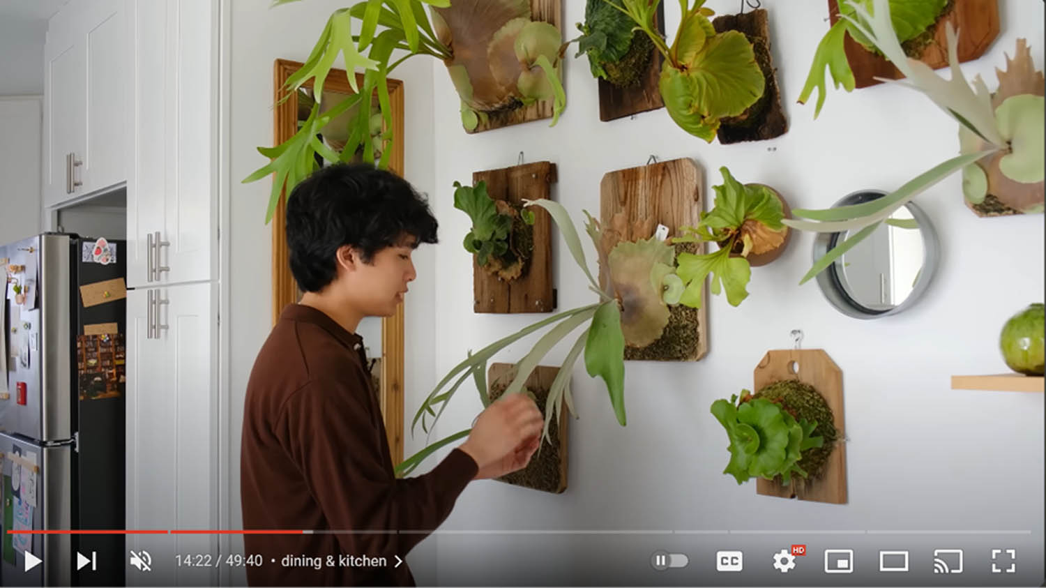 Figure 6
Benji touching the leaves of his wall-mounted plants in his video, “Relaxing Plant Tour 2023 | my entire houseplant collection.”
